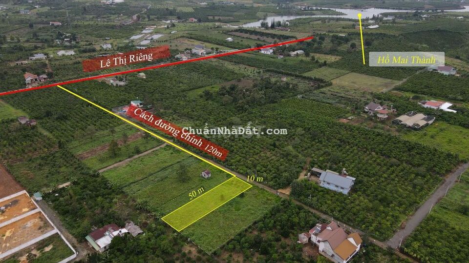 Bán Gấp Đất Dành Cho Nhà Đầu Tư