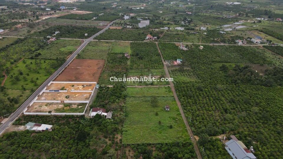 Bán Gấp Đất Dành Cho Nhà Đầu Tư