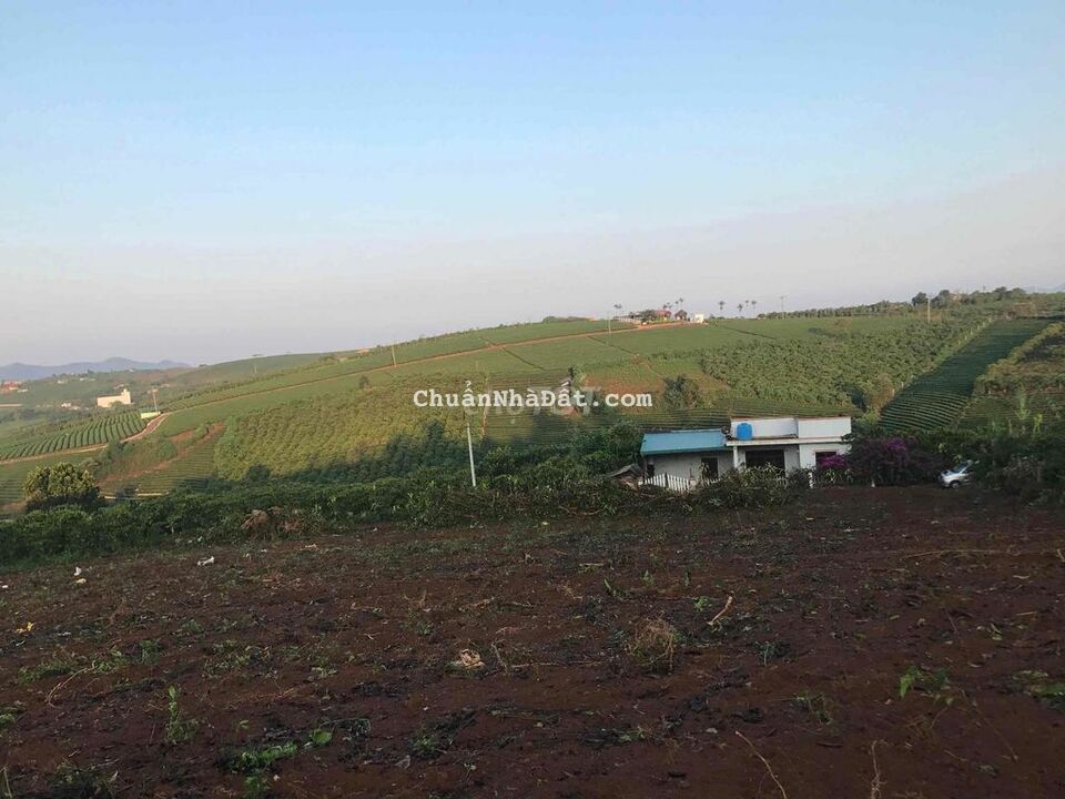 Bán lô đất quy hoạch thổ cư sát mặt đường Lý Thái Tổ Bán lô đất quy hoạch thổ cư sát mặt đường Lý Thái Tổ