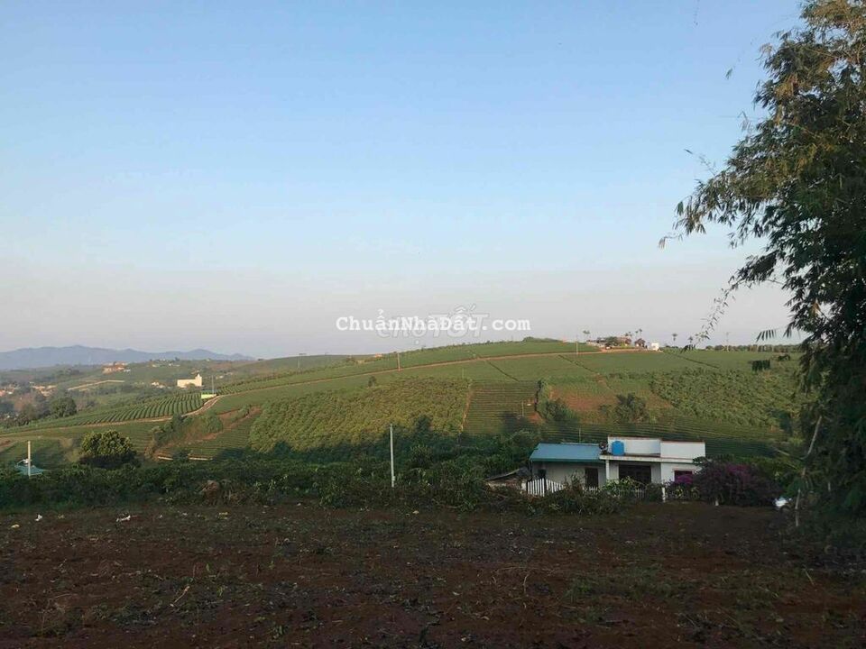 Bán lô đất quy hoạch thổ cư sát mặt đường Lý Thái Tổ Bán lô đất quy hoạch thổ cư sát mặt đường Lý Thái Tổ