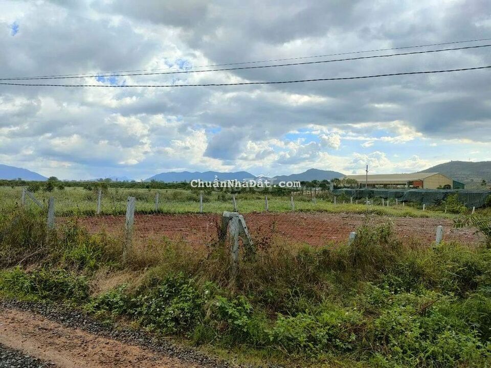 ĐẤT ĐẸP ĐẦU TƯ CẦN BÁN NHANH ĐẤT ĐẸP ĐẦU TƯ CẦN BÁN NHANH