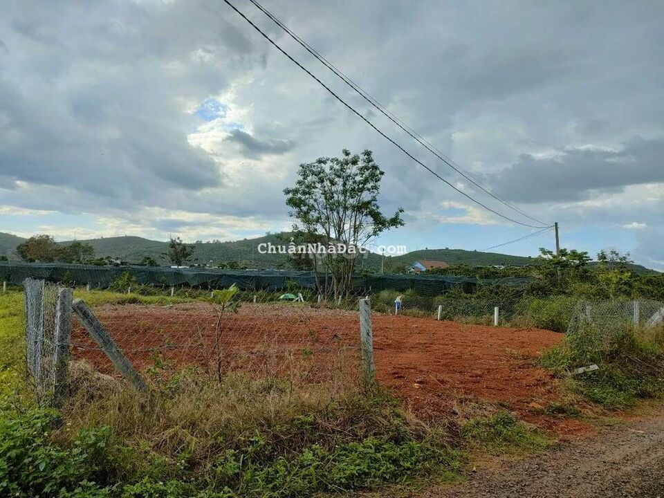 ĐẤT ĐẸP ĐẦU TƯ CẦN BÁN NHANH ĐẤT ĐẸP ĐẦU TƯ CẦN BÁN NHANH