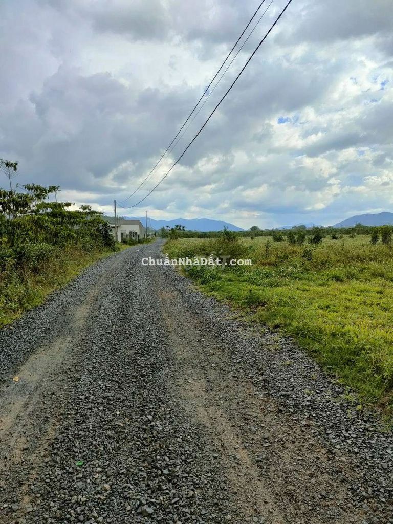 ĐẤT ĐẸP ĐẦU TƯ CẦN BÁN NHANH ĐẤT ĐẸP ĐẦU TƯ CẦN BÁN NHANH