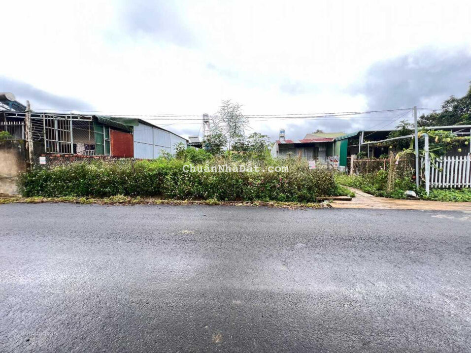 Cần bán gấp đất 570m2 trung tâm P Lộc Tiến, TP Bảo Lộc, Lâm Đồng