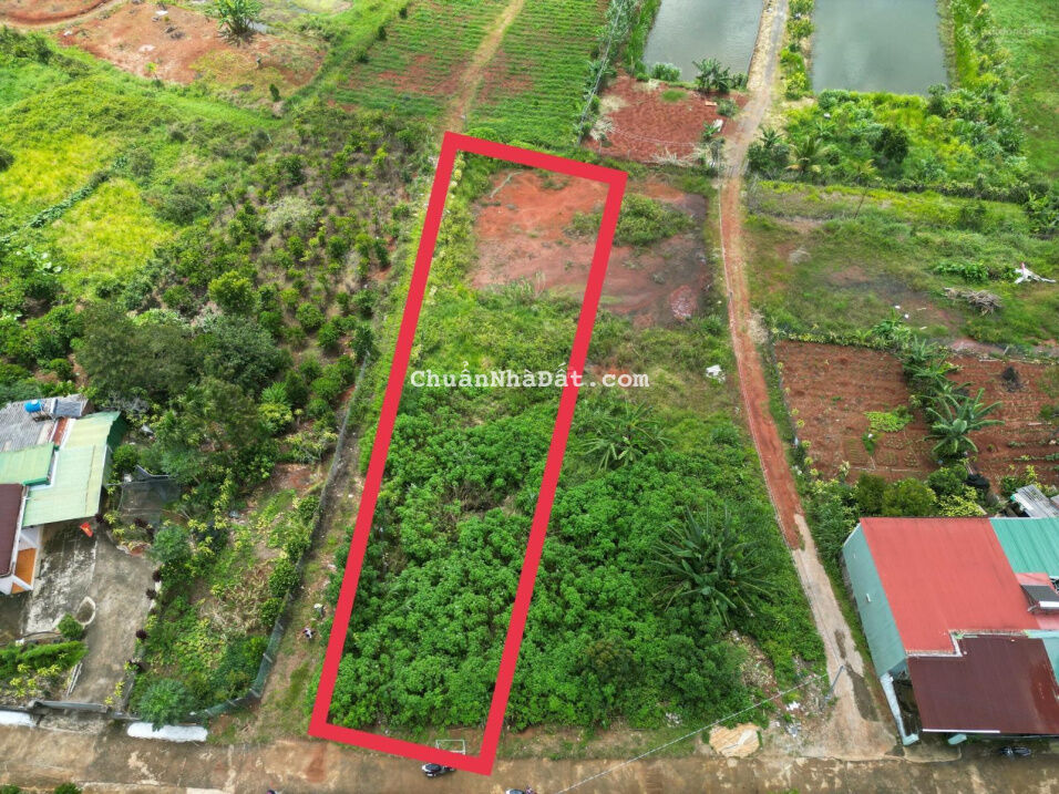 Bán gấp đất 2 MT thuộc trung tâm TP Bảo Lộc, Lâm Đồng