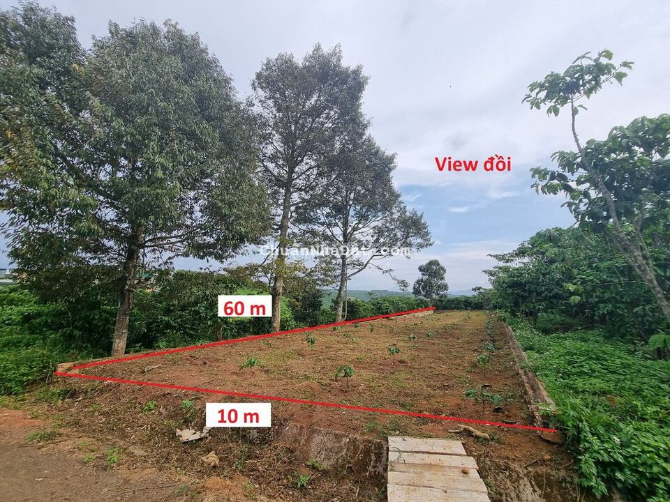 790 triệu - 600 m2, hẻm 1182 Nguyễn Văn Cừ, P. Lộc Phát, Đông Dân