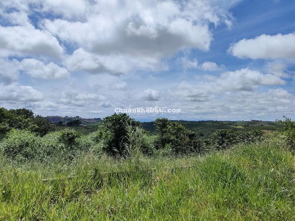 Đất Cực Tiềm Năng Cung Đường Ngã Rẽ Cao Tốc