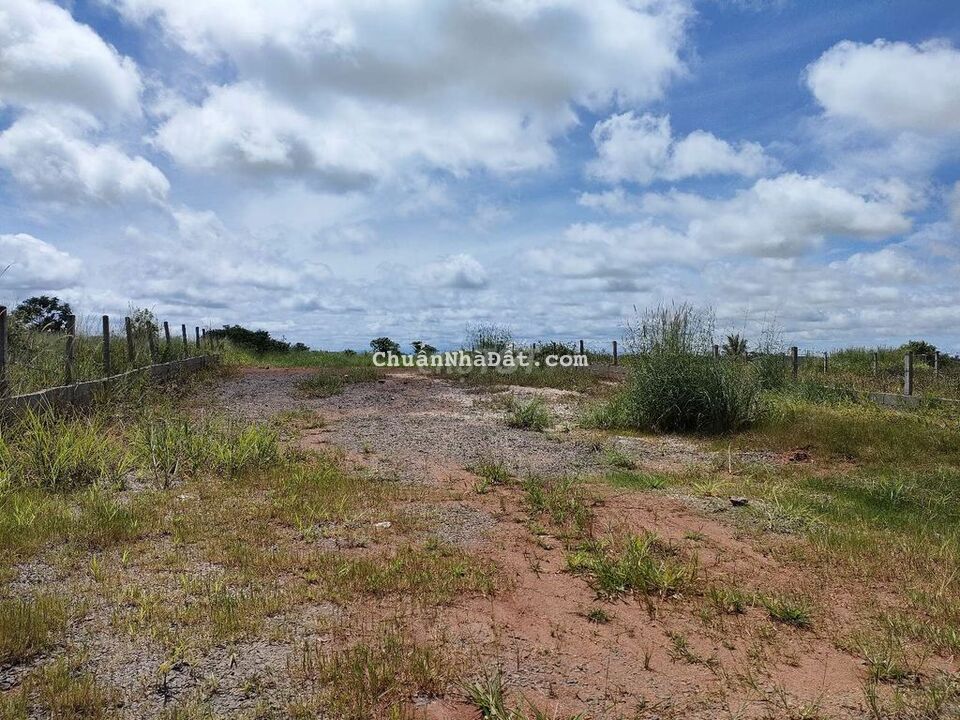 Đất Cực Tiềm Năng Cung Đường Ngã Rẽ Cao Tốc