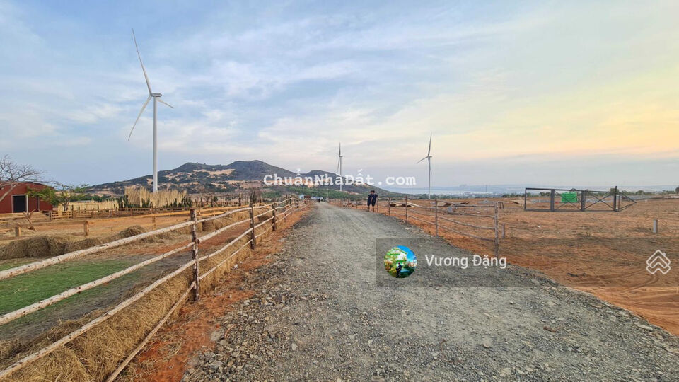Cần bán 1,1 ha view biển và điện gió Hòa Thắng kế bên KDL Mian Farm gồm 3 SHR có bán lẻ giá đầu tư