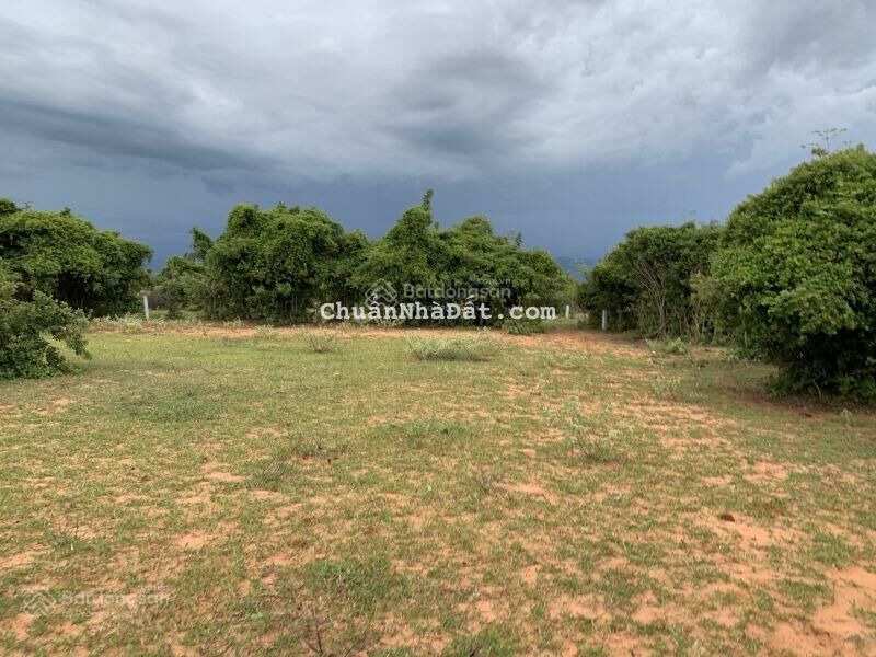 Cần bán lô đất vườn Bình Thuận giá 65 nghìn/m2 Cần bán lô đất vườn Bình Thuận giá 65 nghìn/m2