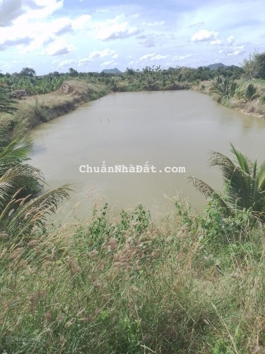 Cần tiền bán lỗ 2ha đất đang trồng dừa, chuối, gần đường dẫn xuống cao tốc QL 28B, giá 75.000đ/m2