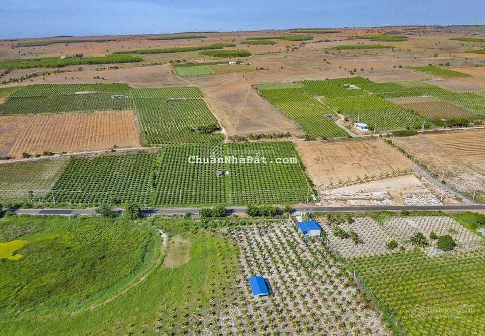 Bán 4105m2 đường đôi DT716B Hoà Thắng view Bàu Trắng