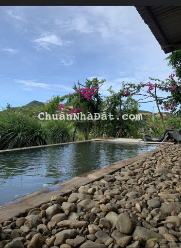 Bán 4374m2 view biển view Bàu Trắng đường 716, Hoà Thắng kế Novaworld Bán 4374m2 view biển view Bàu Trắng đường 716, Hoà Thắng kế Novaworld