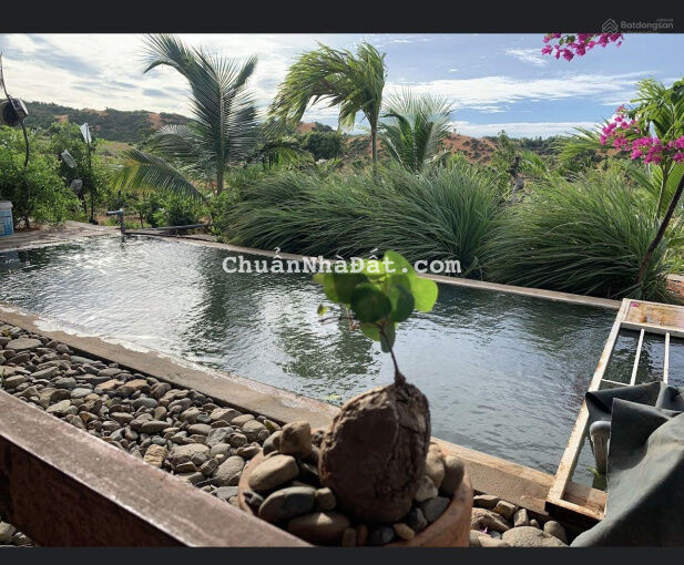 Bán 4374m2 view biển view Bàu Trắng đường 716, Hoà Thắng kế Novaworld Bán 4374m2 view biển view Bàu Trắng đường 716, Hoà Thắng kế Novaworld