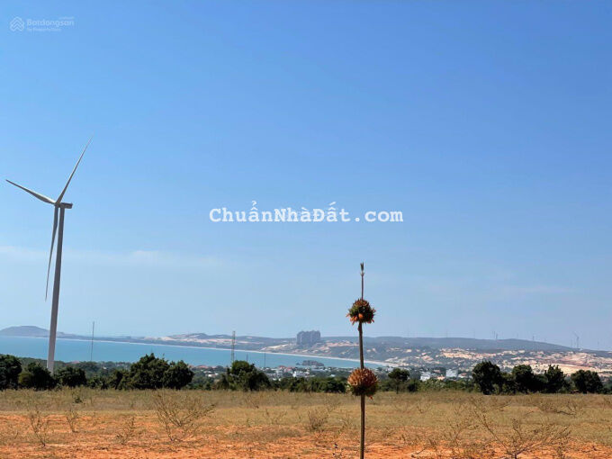 Bán 4374m2 view biển view Bàu Trắng đường 716, Hoà Thắng kế Novaworld Bán 4374m2 view biển view Bàu Trắng đường 716, Hoà Thắng kế Novaworld