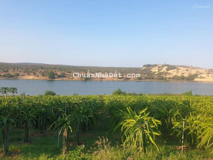 Bán 994m2 thổ cư view Bàu Sen mặt tiền đường 716, Hoà Thắng Bán 994m2 thổ cư view Bàu Sen mặt tiền đường 716, Hoà Thắng