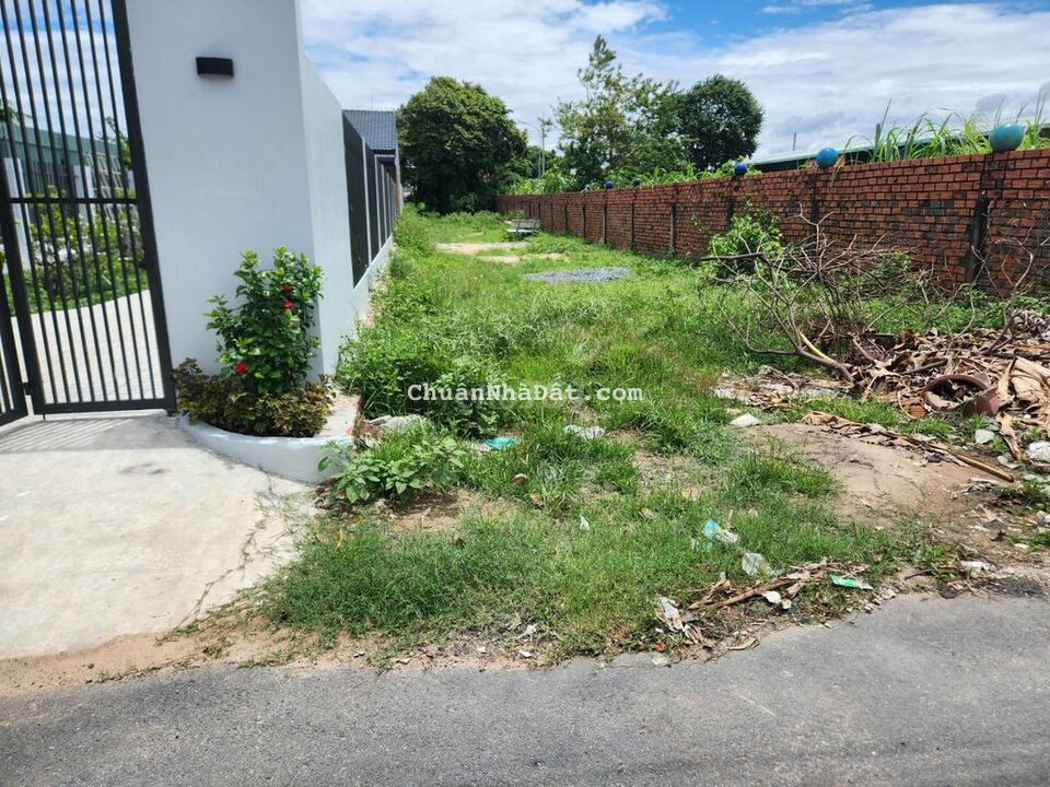 Gần ngã ba cỗng xanh, cách KCN Tân Bình 500m, DT 100m2 có 60m thổ cư Gần ngã ba cỗng xanh, cách KCN Tân Bình 500m, DT 100m2 có 60m thổ cư