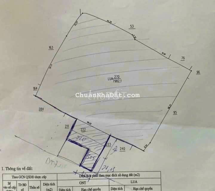 Đất SKC sản xuất đường ĐT 746 xã Thường Tân DT : 8.859m2 giá 16 tỷ Đất SKC sản xuất đường ĐT 746 xã Thường Tân DT : 8.859m2 giá 16 tỷ