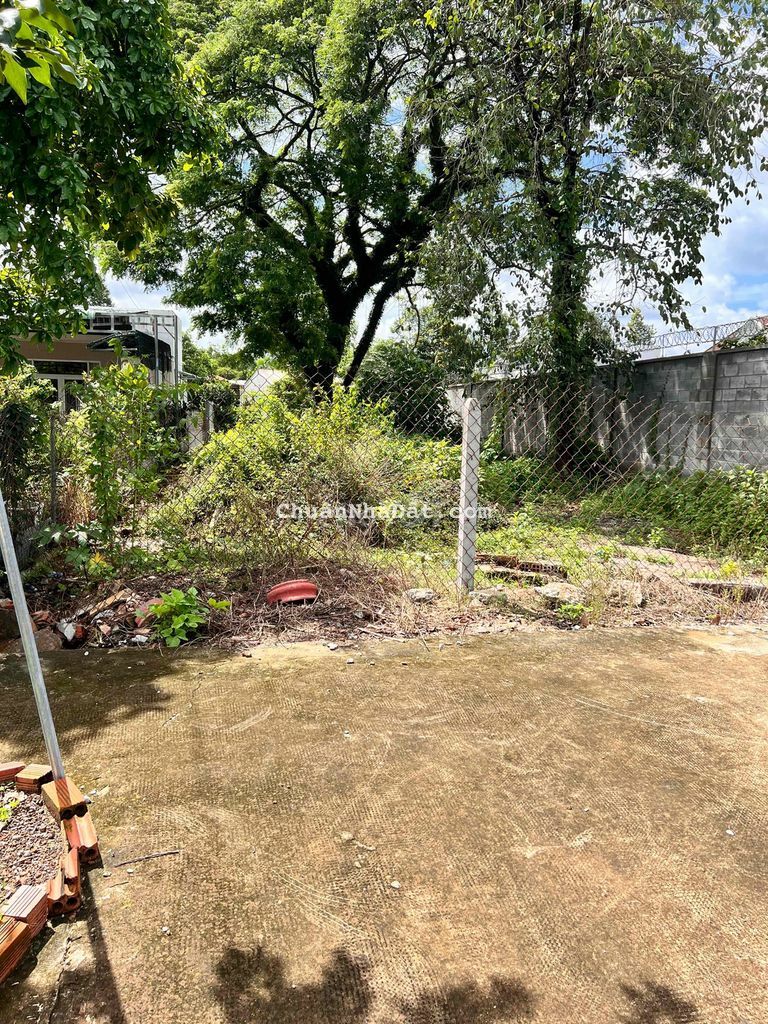 Mặt tiền DT 742 vào 100 m, chủ cắt bán lỗ 300tr muốn ra nhanh Mặt tiền DT 742 vào 100 m, chủ cắt bán lỗ 300tr muốn ra nhanh