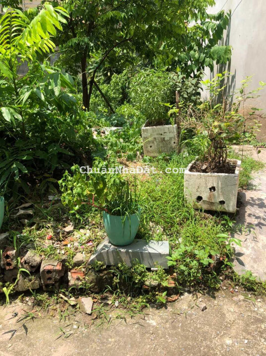 Đất hiếm Văn Hội, Bắc Từ Liêm ô tô đỗ cửa 3 bước là ô tô ránh 41m2