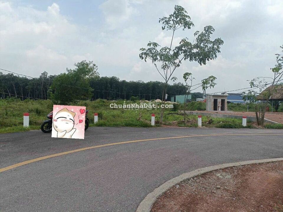 Đất Chánh Phú Hòa sổ sẵn 5x22m ngộp cần bán