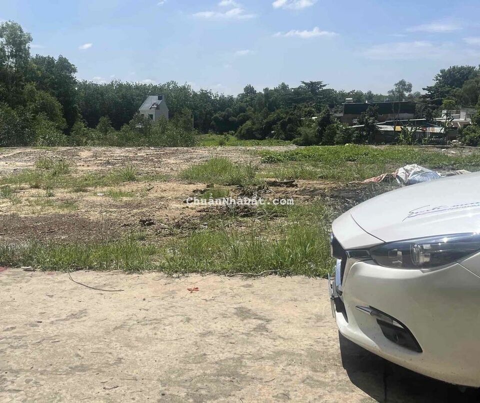 Đất cần bán gấp, gần đường chủ cắt lỗ 200tr Đất cần bán gấp, gần đường chủ cắt lỗ 200tr