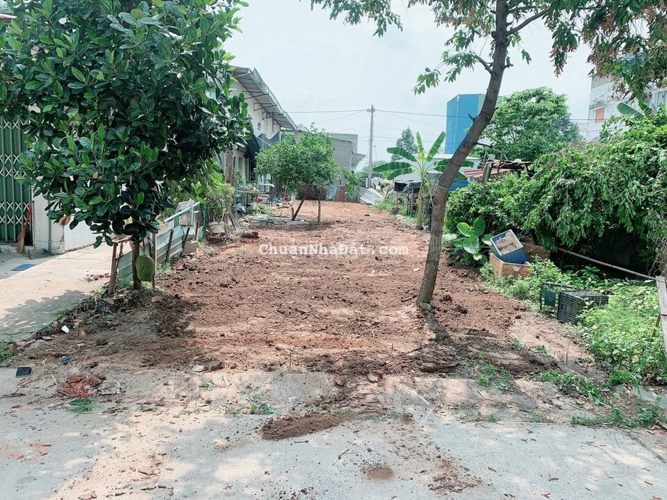 no ngan hang caan ban nhanh lo dat my phuoc 3