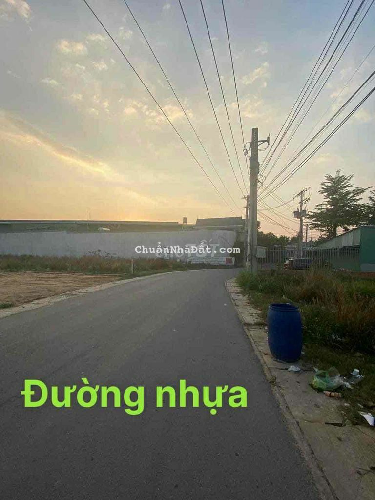 ĐẤT MẶT TIỀN NHỰA THÔNG SAU CHỢ TÂN ĐỊNH BẾN CÁT