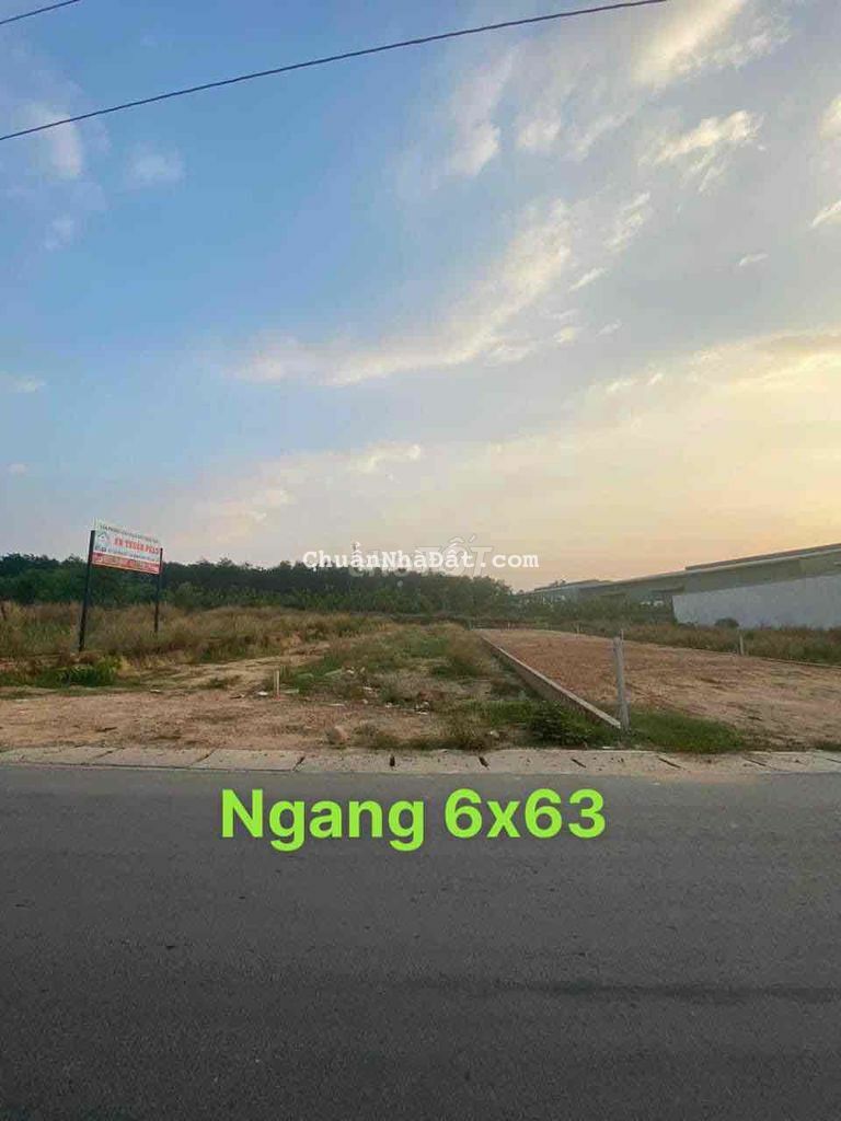 ĐẤT MẶT TIỀN NHỰA THÔNG SAU CHỢ TÂN ĐỊNH BẾN CÁT