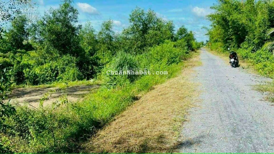 Đất vườn mặt tiền kênh lớn gần đường nhựa giá yêu thương đầu tư cũng khá tốt