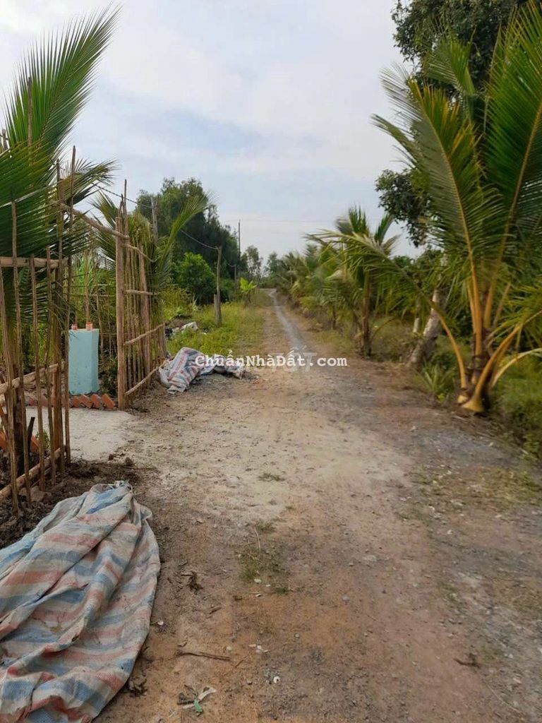 1000m2 đất vườn chuyển thổ, view kênh bến lức 1.4 tỷ