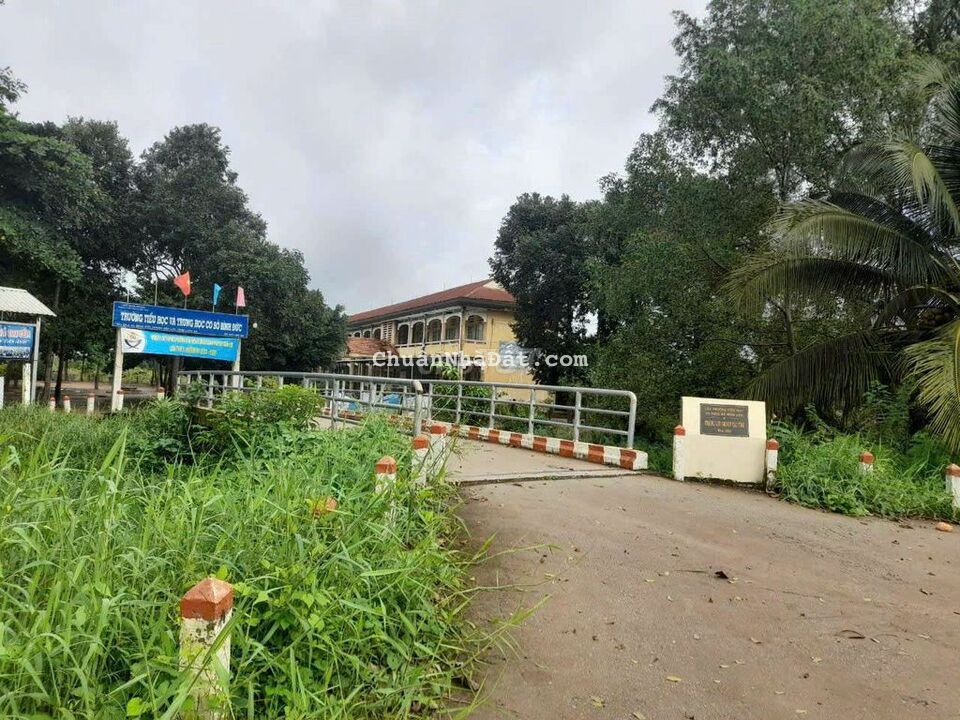 1000m2 đất vườn Bình Đức view kênh cực đẹp, 1.4 tỷ