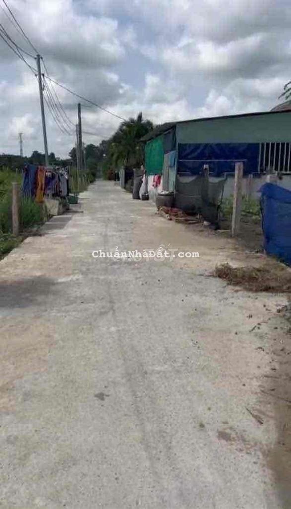 Bán đất thổ lúa 1000m2 tại Thạnh Đức, Bến Lức, Long An