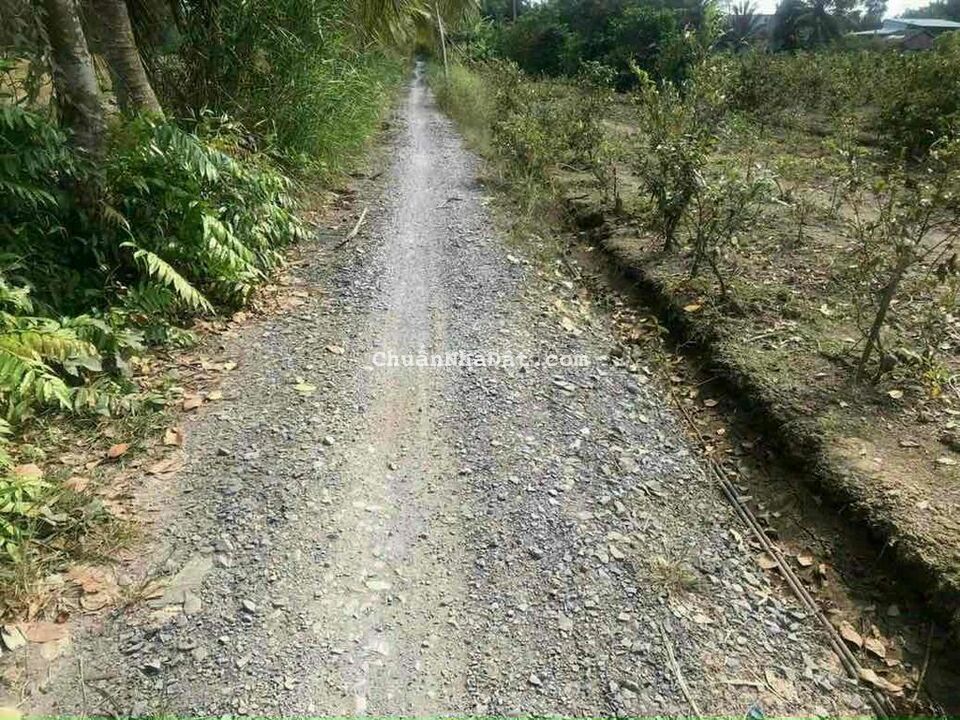 Đất vườn đường hiển thị sổ. 1000mv cách 816 khoảng 1km Đất vườn đường hiển thị sổ. 1000mv cách 816 khoảng 1km