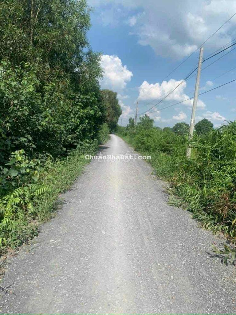 Đất vườn đường hiển thị sổ. 1000mv cách 816 khoảng 1km Đất vườn đường hiển thị sổ. 1000mv cách 816 khoảng 1km