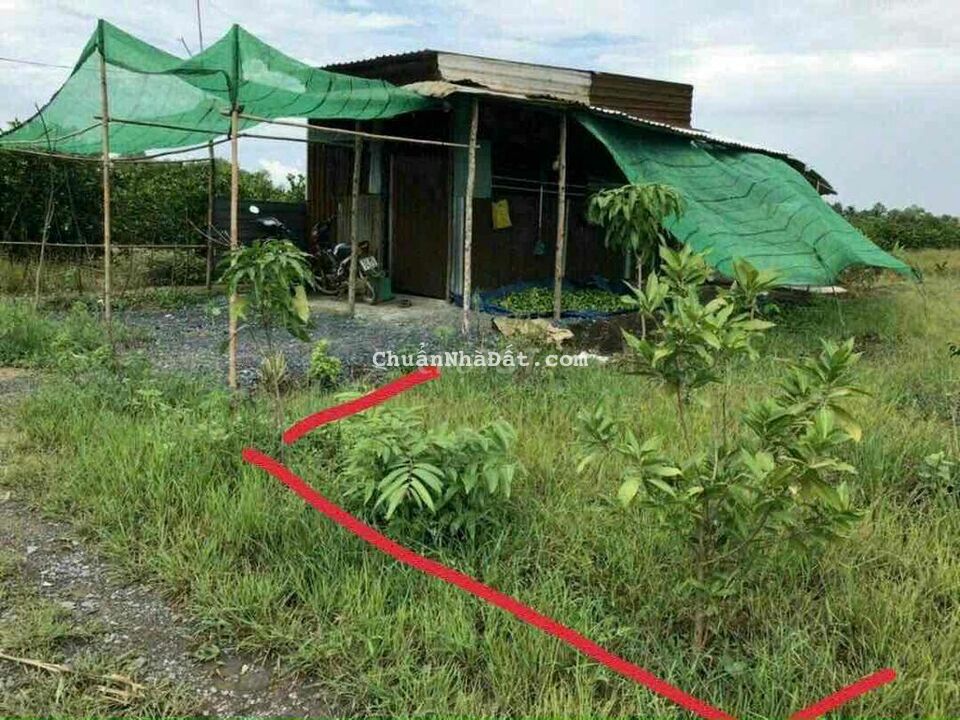 Dân cư điện nước kế bên. Gần kênh chính tiện trồng trọt làm vườn