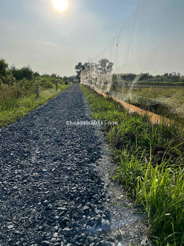 Cách 816 chỉ 500m . 1000mv vườn đường ô tô 7 chỗ Cách 816 chỉ 500m . 1000mv vườn đường ô tô 7 chỗ
