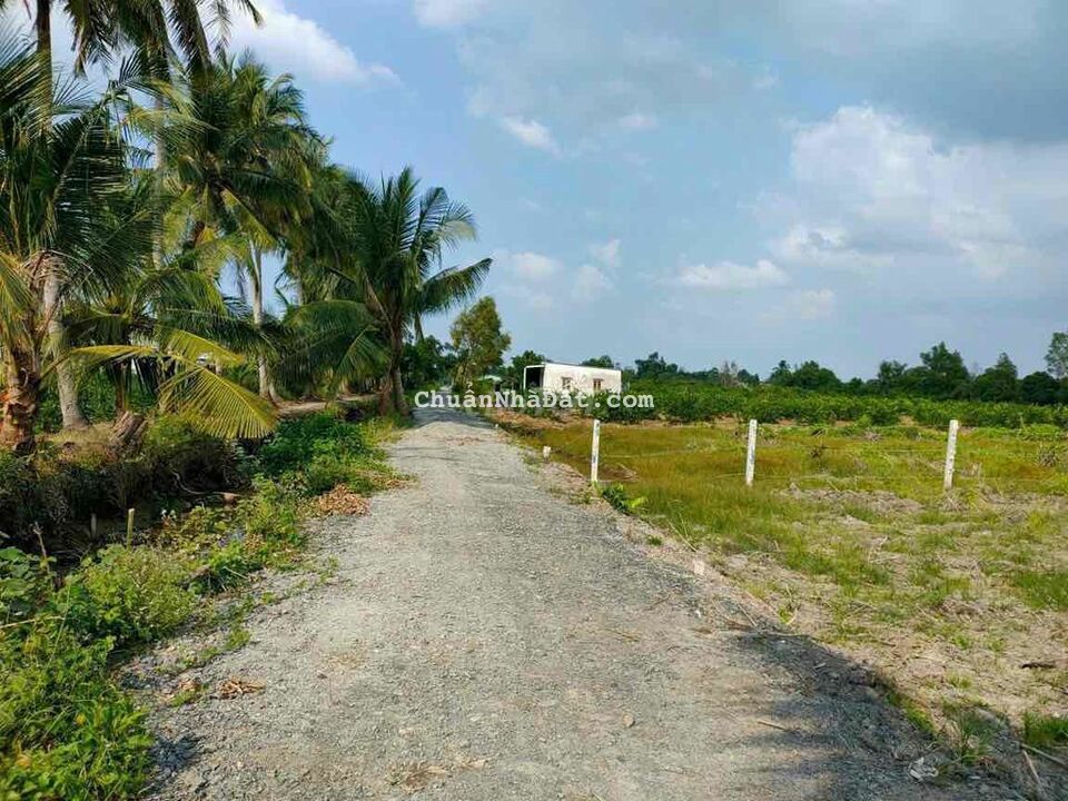 20x50 vườn. Cách 816 chỉ 300m. Đường xe ô tô 7 chỗ ngon lành