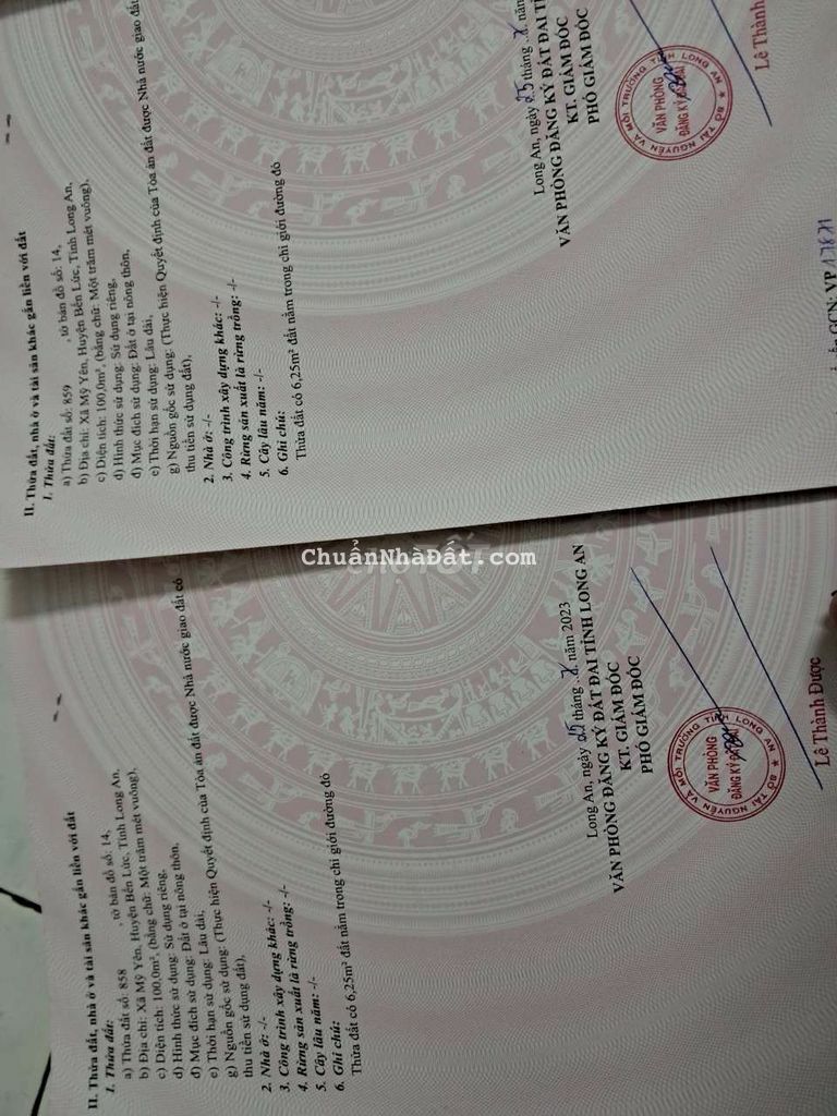 Dat nền mỹ Yên gia rẻ 1ty1 đường xe tải Dat nền mỹ Yên gia rẻ 1ty1 đường xe tải