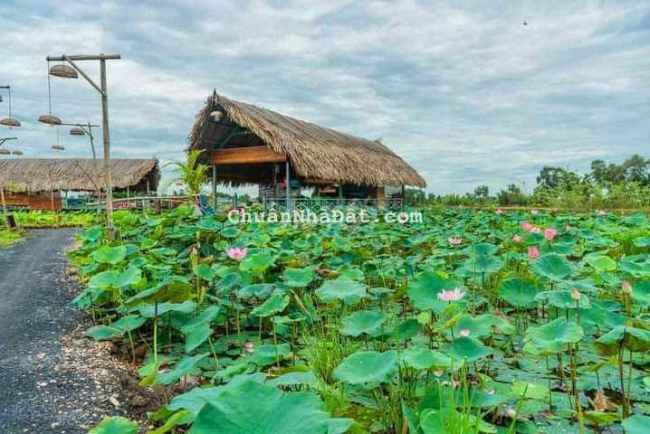 Mô hình vườn siêu đẹp, 1070m2 đất vườn 18x 58m , 680 tr