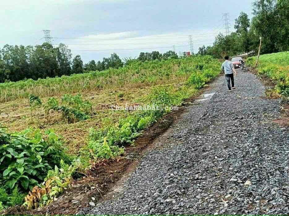1100mv vườn. Đường ô tô tới đất , ngay cầu ba vồn lớn