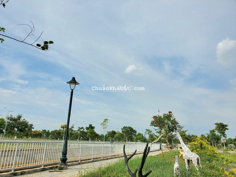 Bán gấp lô góc 115m2 KDC Lago Centro mặt tiền ĐT830 huyện Bến Lức Bán gấp lô góc 115m2 KDC Lago Centro mặt tiền ĐT830 huyện Bến Lức