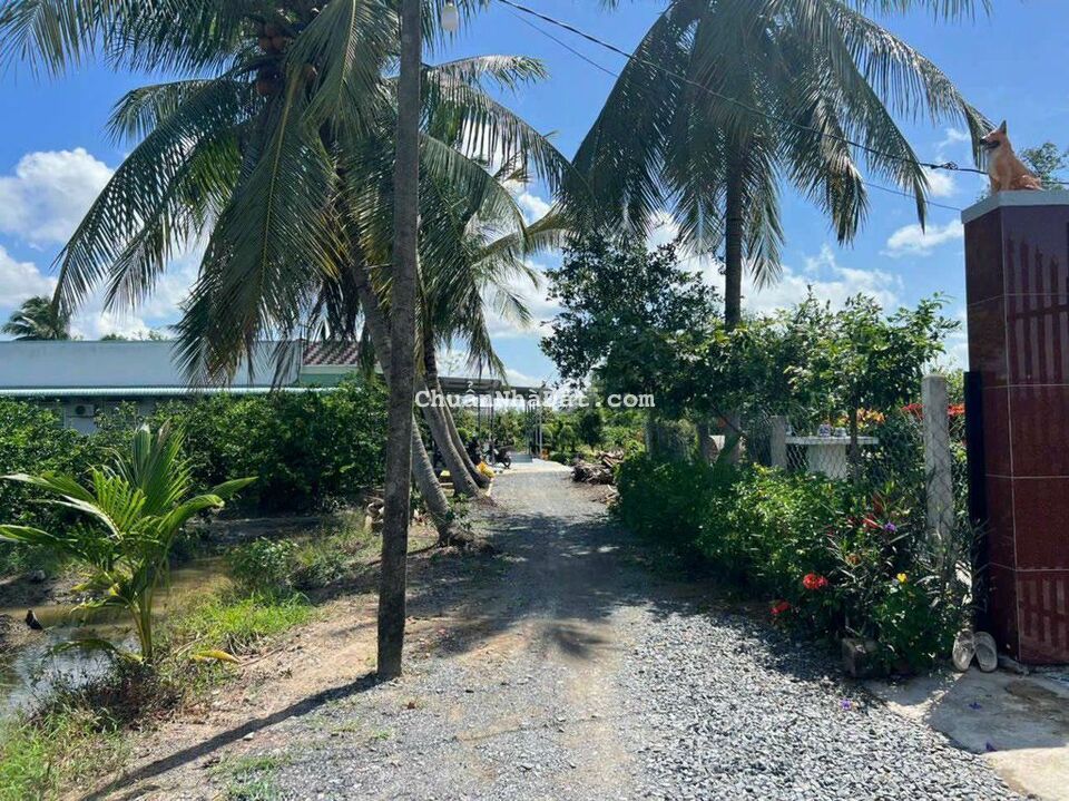 Quá rẻ - 5x22m² thổ cư chỉ 555tr ở Ấp 4 Thạnh Đức - Bến Lức