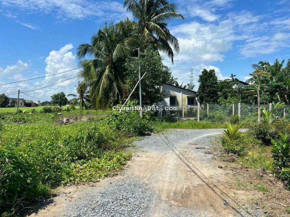 Quá rẻ - 5x22m² thổ cư chỉ 555tr ở Ấp 4 Thạnh Đức - Bến Lức