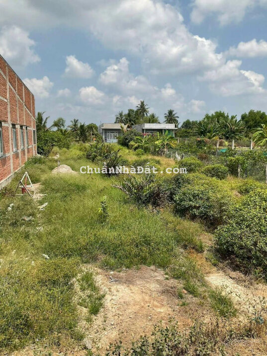 Bán đất tặng nhà mái thái đẹp tuyệt vời 2000m2 giá chỉ 2tỷ600 quá rẻ luôn bà con ơi