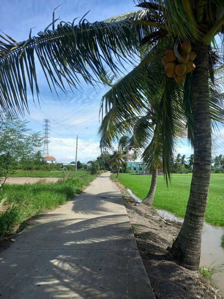 222m2 đất thổ, view kênh cực đẹp kdc thạnh đức, 700tr