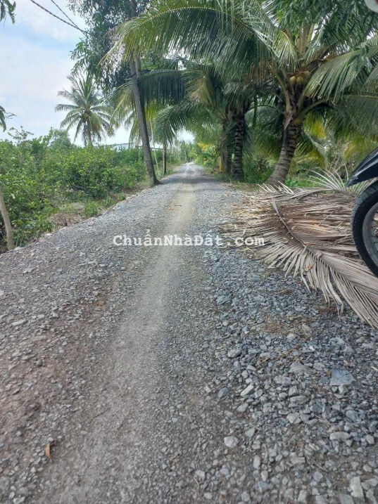 Đất mặt tiền Sông Vàm Cỏ Lương Hòa giá rẻ đầu tư lợi nhanh