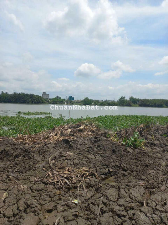 Đất mặt tiền Sông Vàm Cỏ Lương Hòa giá rẻ đầu tư lợi nhanh
