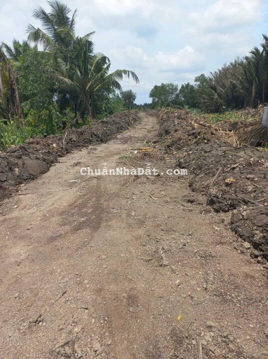 Đất mặt tiền Sông Vàm Cỏ Lương Hòa giá rẻ đầu tư lợi nhanh