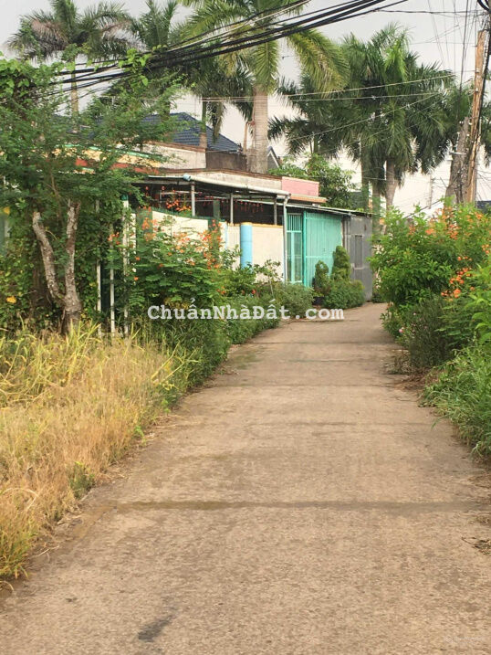 Bán đất thổ cư mặt tiền đường Cây Điệp, xã Nhựt Chánh, Huyện Bến Lức, Tỉnh Long An. 2.1 tỷ